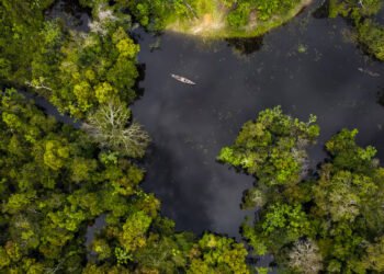 p7vmjmskhnduzfs33yljl4idzi