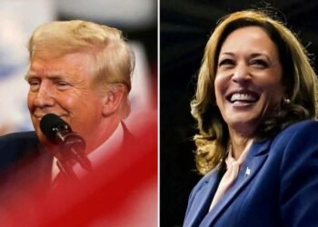 trump harris 1 focus 0 0.42 896 504