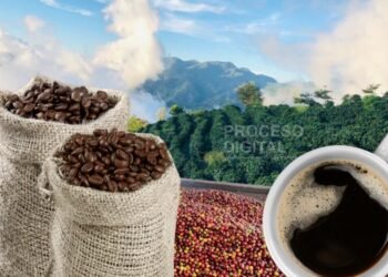 whatsapp image 2023 09 27 at 5.54.02 pm 1 768x520