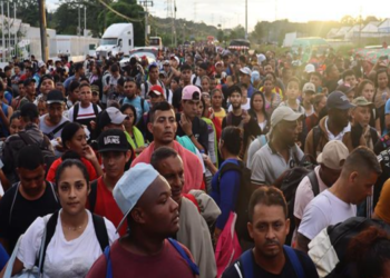 captura de pantalla 2024 11 25 104730 1872775 20241125111202