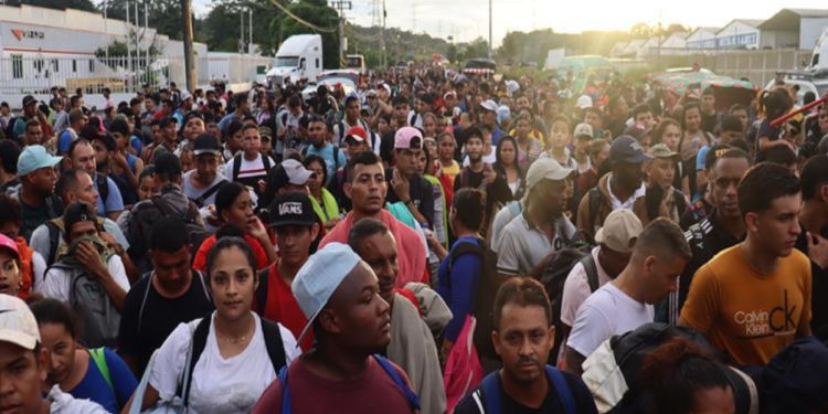 captura de pantalla 2024 11 25 104730 1872775 20241125111202