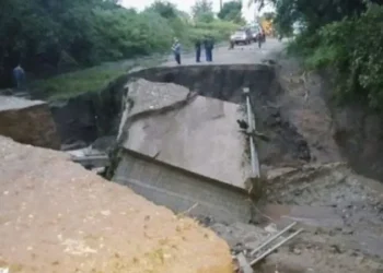 diseno sin titulo 2024 11 17t091317.653 1