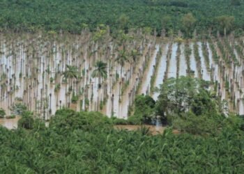 diseno sin titulo 3 9164563 20241123163038