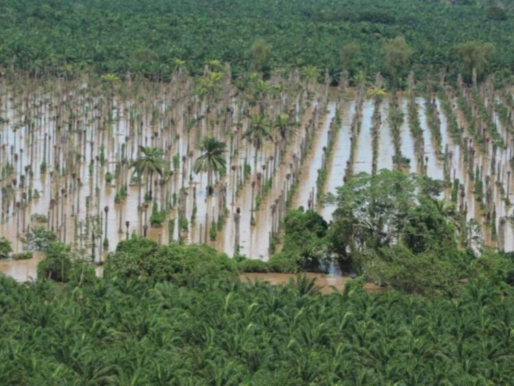 diseno sin titulo 3 9164563 20241123163038