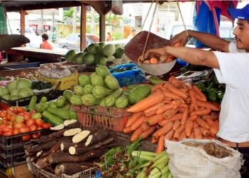 captura de pantalla 9 12 2024 18021 elmundo.hn