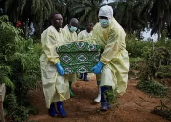 genesis youtube genesis nuevooo 311 640x360