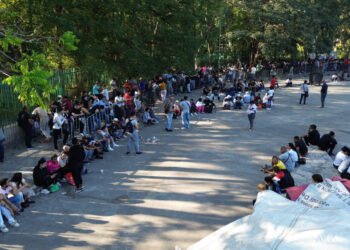 migrantes se debaten entre volver a sus países o quedarse en méxico tras medidas de trump