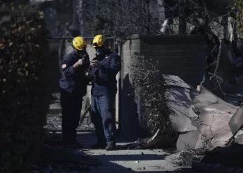 a12bff85a929507830aa1daaad1f3c623995fb7c 728x485