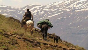 arrieros cordilleranos
