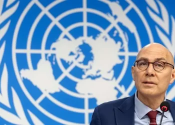 importada feed 31952891 760x520