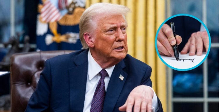 la oms lamenta la retirada de eeuu de la organizacion pero espera que la reconsidere la tribuna