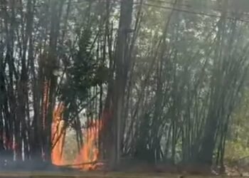 000 fuego finca croem cerro las mesas mayaguez2