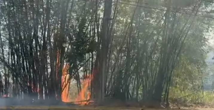 000 fuego finca croem cerro las mesas mayaguez2