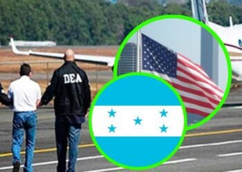 whatsapp image 2024 08 29 at 8.26.07 pm