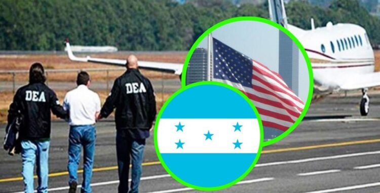 whatsapp image 2024 08 29 at 8.26.07 pm