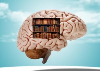 Si puedes recordar estas 9 cosas después de los 60, tu mente está más activa de lo que crees