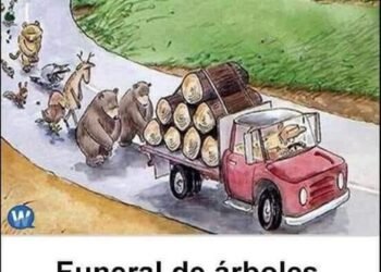 Imágenes que hablan