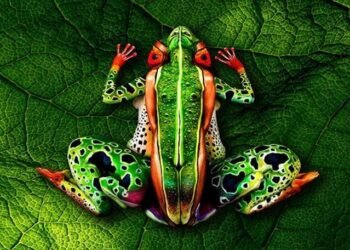 Casi Nada es lo que parece