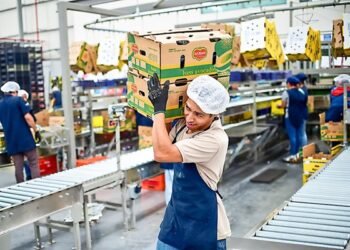 El impacto del desempleo juvenil en el PIB mundial según la FAO