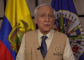 Misión de la OEA aclara: no mediará en conflicto electoral, solo observará el proceso