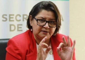 Ministra de Salud llama “ignorantes” a críticos del teletrabajo ante alza de enfermedades respiratorias