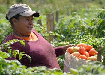 Créditos de imagen. El Informativo.HN