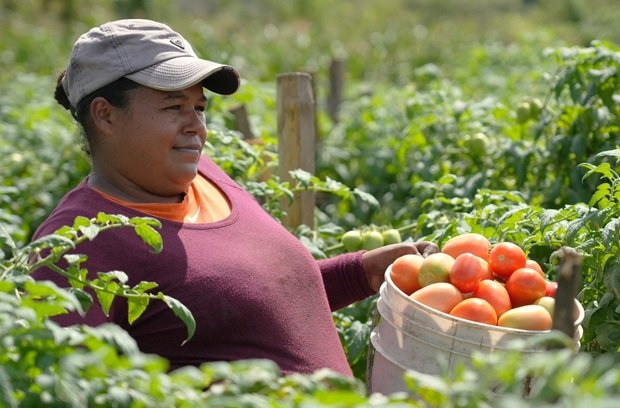 Créditos de imagen. El Informativo.HN