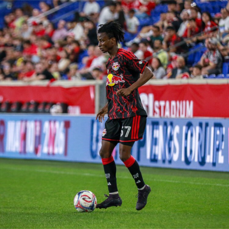 created by photogrid