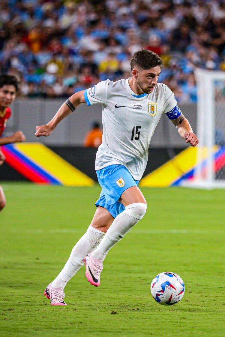 created by photogrid