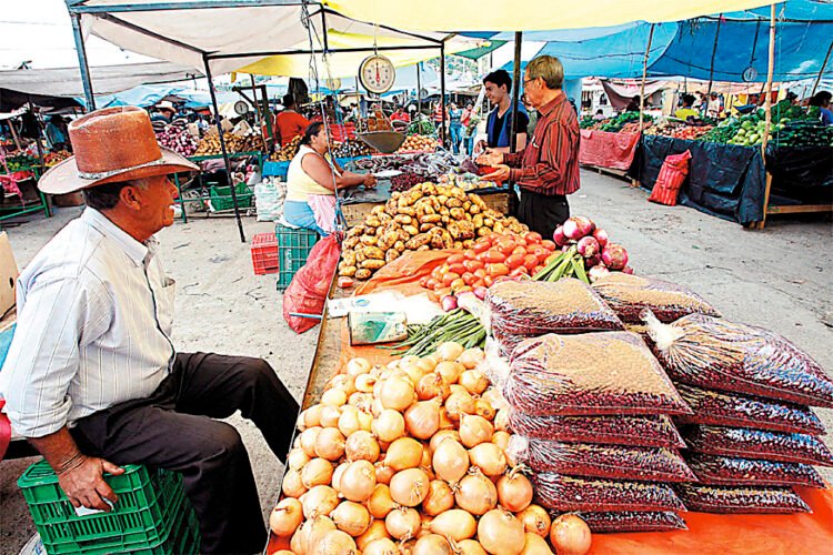 El BCH espera un crecimiento en la economía local del 4 por ciento. EL PAÍS