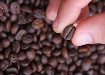 Grano café. Imagen Pixabay.